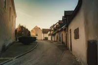 Portrait of Sarah Johnson